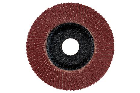 Lamellenschleifteller 115 mm P 40, F-NK (624391000)