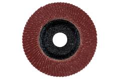 Lamellenschleifteller 125 mm P 40, F-NK (624395000) 
