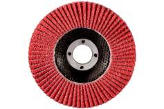 Lamellenschleifteller 115 mm P 40, FS-CER (626166000) 